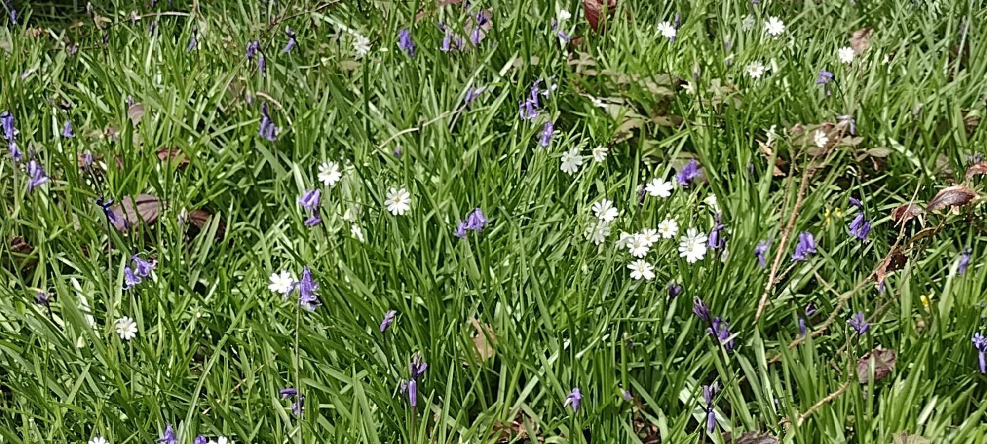 Samphire Cottage Helston Luaran gambar